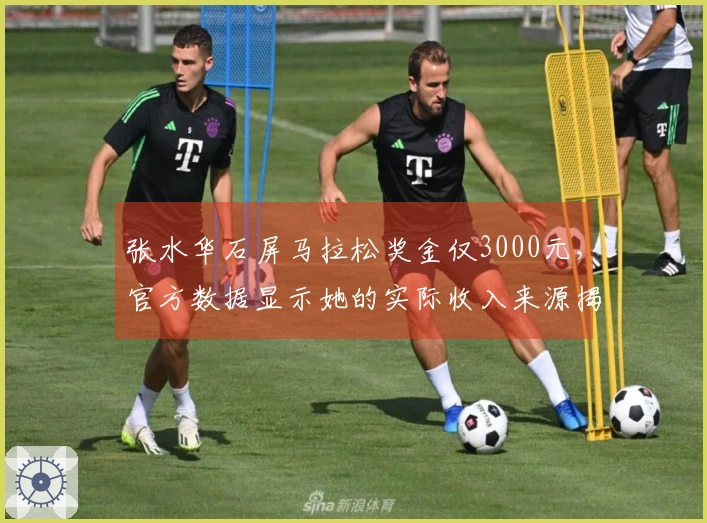 张水华石屏马拉松奖金仅3000元，官方数据显示她的实际收入来源揭秘