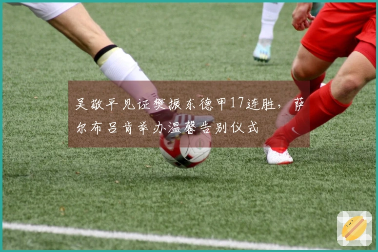 吴敬平见证樊振东德甲17连胜，萨尔布吕肯举办温馨告别仪式