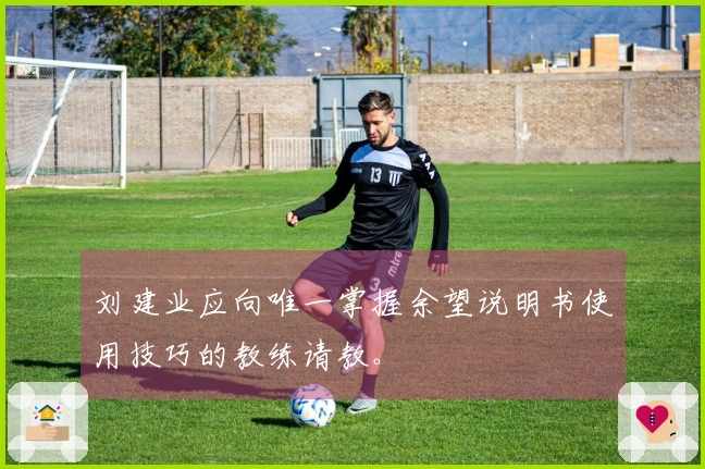 刘建业应向唯一掌握余望说明书使用技巧的教练请教。
