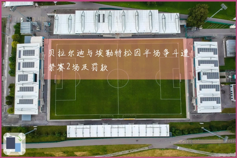 贝拉尔迪与埃勒特松因半场争斗遭禁赛2场及罚款